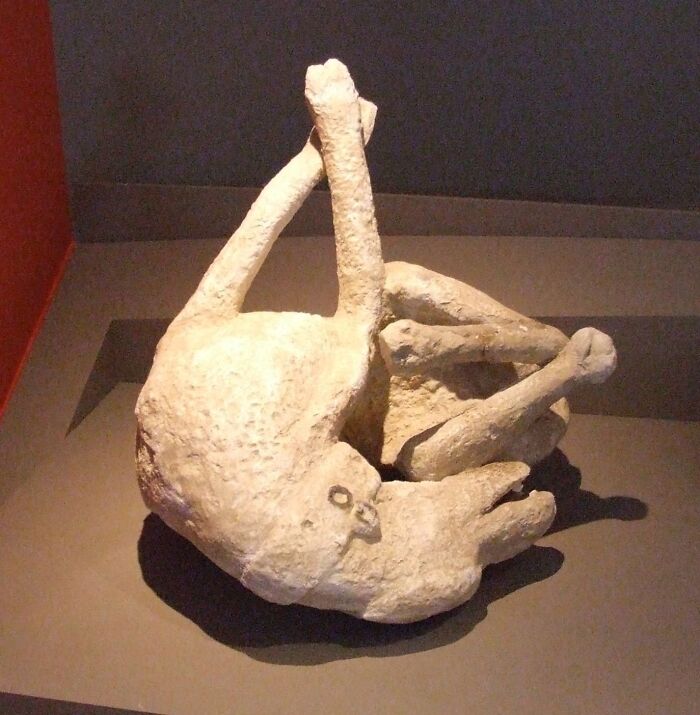Interesting-Artifact-Pics