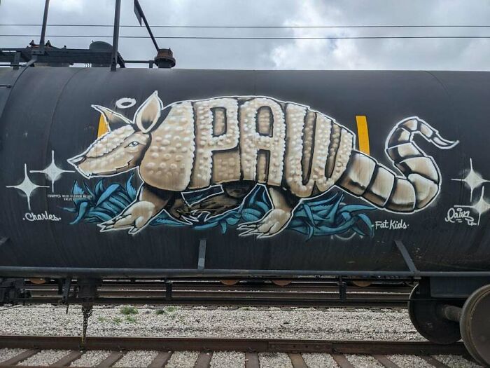 Paws, ATX