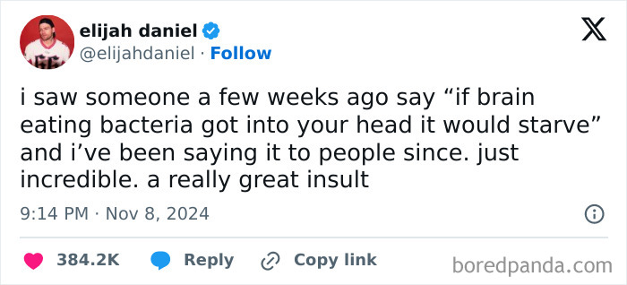 Screenshot of a social media post sharing one of the sickest insults about brain-eating bacteria starving the mind.