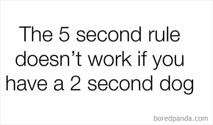 Text meme about dogs reading The 5 second rule doesn’t work if you have a 2 second dog, a funny dog meme.