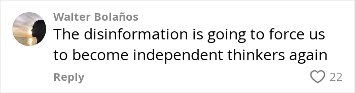 Comment about disinformation and independent thinking, reflecting reactions to Google’s AI model creating realistic videos.