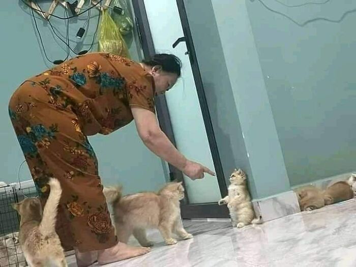 Woman interacting with cute and funny animal images of playful kittens inside a home with light-colored flooring.